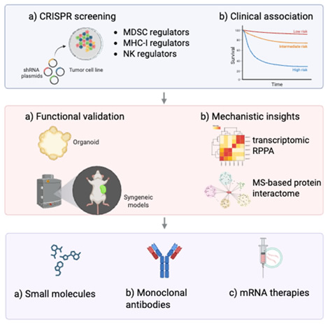 Understanding and overcoming immune evasion  in ovarian cancer
