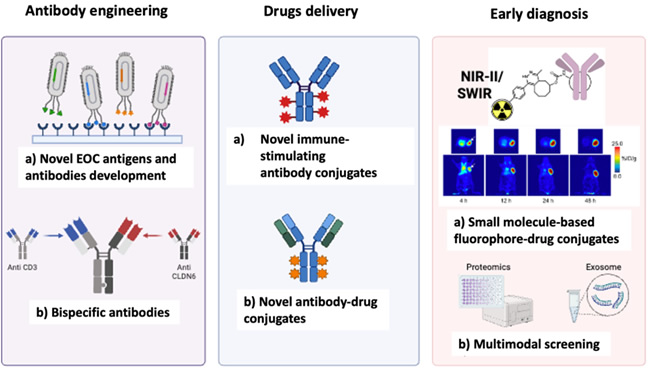Therapeutic innovation addressing platinum resistant and clear cell ovarian cancer , cervical cancer
